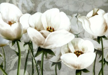 beyaz lale çiçekler